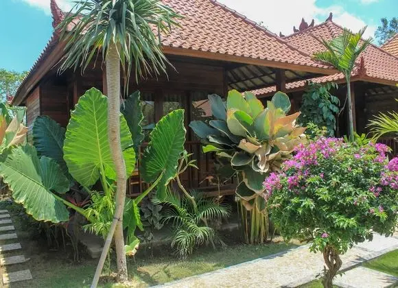 Deluxe Tek Büyük Yataklı Oda, 1 En Büyük (King) Boy Yatak, Balkon, Bahçe Manzaralı