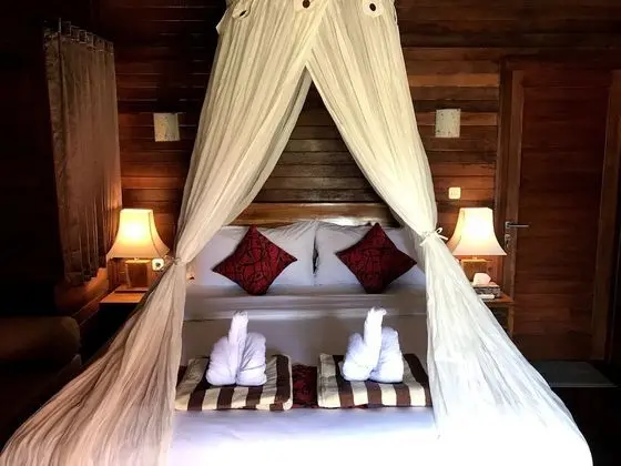 Deluxe Tek Büyük Yataklı Oda, 1 En Büyük (King) Boy Yatak, Balkon, Bahçe Manzaralı