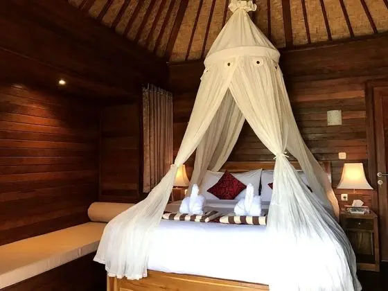 Deluxe Tek Büyük Yataklı Oda, 1 En Büyük (King) Boy Yatak, Balkon, Bahçe Manzaralı
