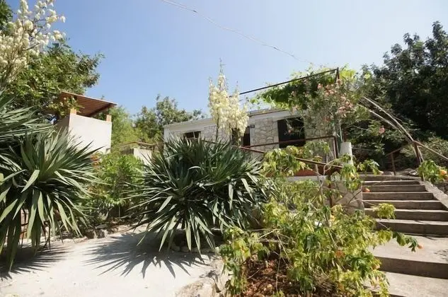 Ev (Paulo1 - peacefull and charming - H(2)