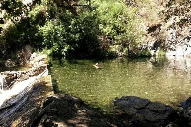 Ev, Birden Çok Yatak