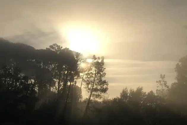 Ev, Birden Çok Yatak