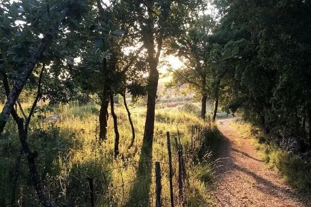 Ev, Birden Çok Yatak