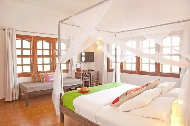 Deluxe Tek Büyük Yataklı Oda (Adult only)