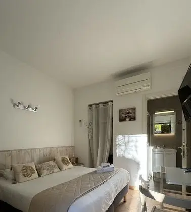 Standard Tek Büyük Yataklı Oda, Bahçe Manzaralı