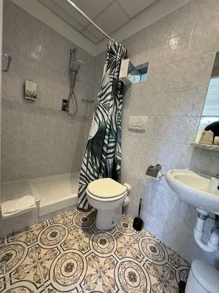 Standard Tek Büyük Yataklı Oda, Bahçe Manzaralı