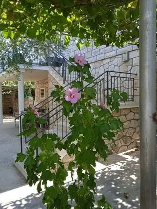 Apart Daire (Pavo - 80 m from beach - A1(5))