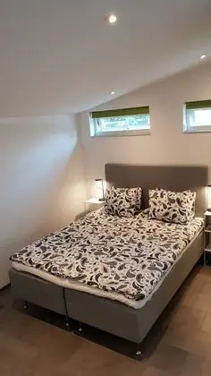 Premium Apart Daire, 1 Büyük (Queen) Boy Yatak