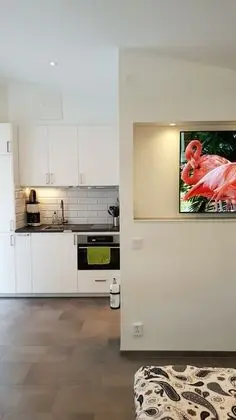 Premium Apart Daire, 1 Büyük (Queen) Boy Yatak