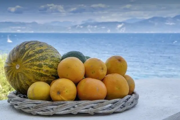 Apart Daire, 1 Yatak Odası, Denize Sıfır (Seaside)