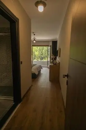 Standard Süit