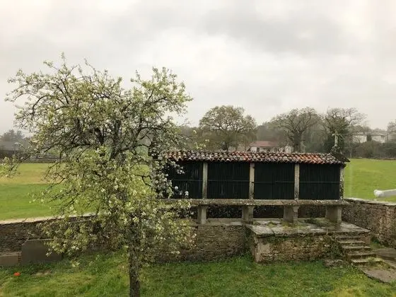 Junior Stüdyo Süit, Bahçe Manzaralı (2)