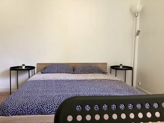 Süit