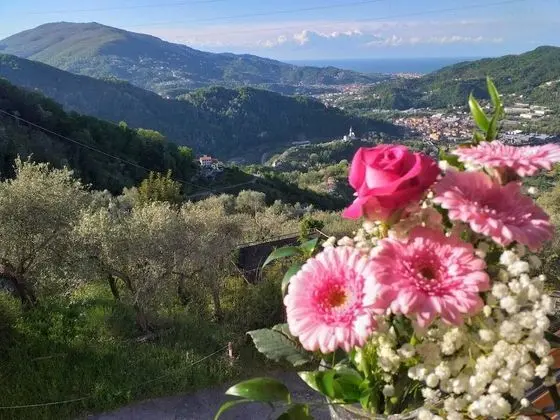 Apart Daire, Mikrodalga