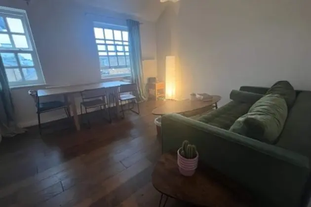 Basic Apart Daire, 1 Çift Kişilik Yatak ve Çekyat