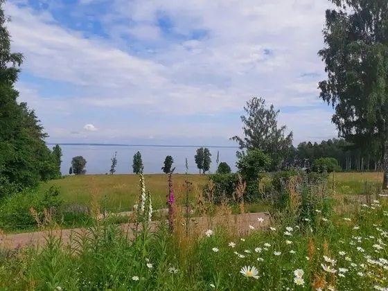 Kulübe, Birden Çok Yatak