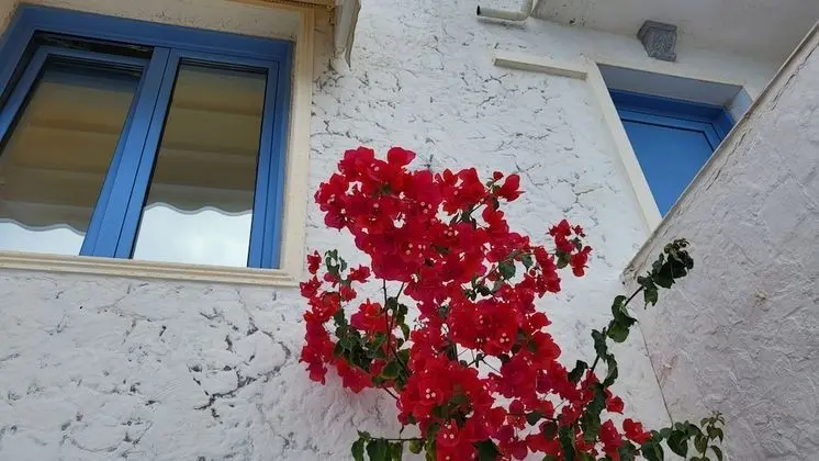Apart Daire, 1 Yatak Odası, Balkon