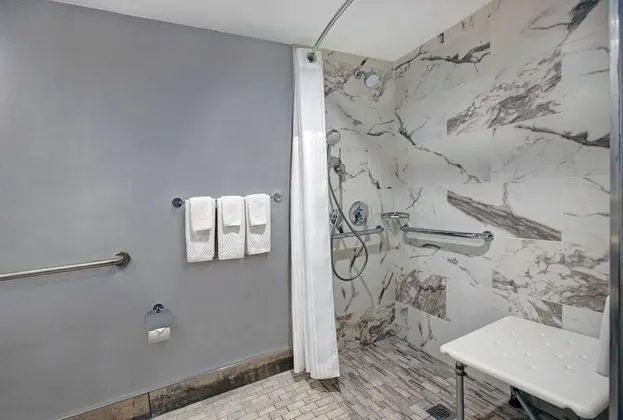 Oda, 1 En Büyük (King) Boy Yatak, Engellilere Uygun, Sigara İçilmez (Roll-in Shower)