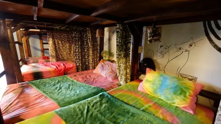 4-Bed Mixed Dorm with Private Bathroom