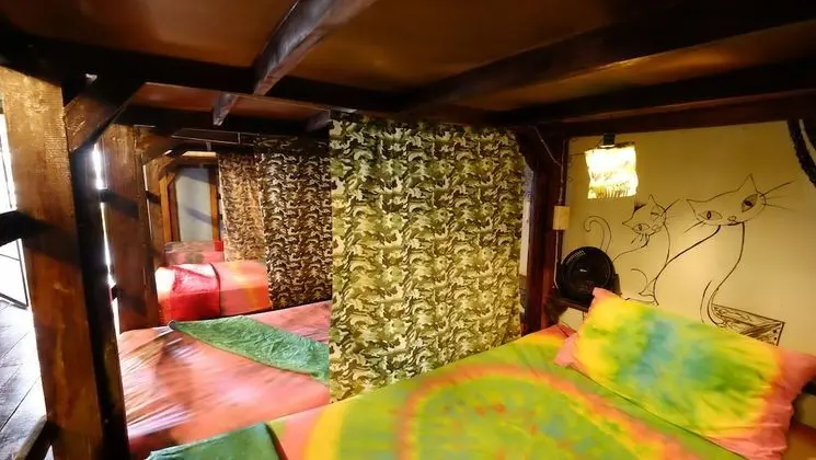 4-Bed Mixed Dorm with Private Bathroom