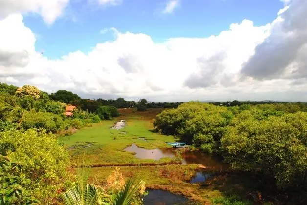 Deluxe Tek Büyük Yataklı Oda, Balkon