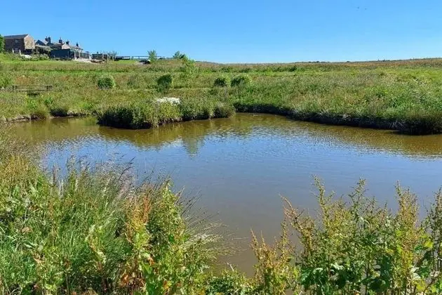 Kır Evi, Birden Çok Yatak