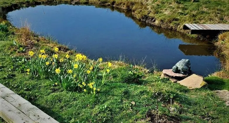 Kır Evi, Birden Çok Yatak