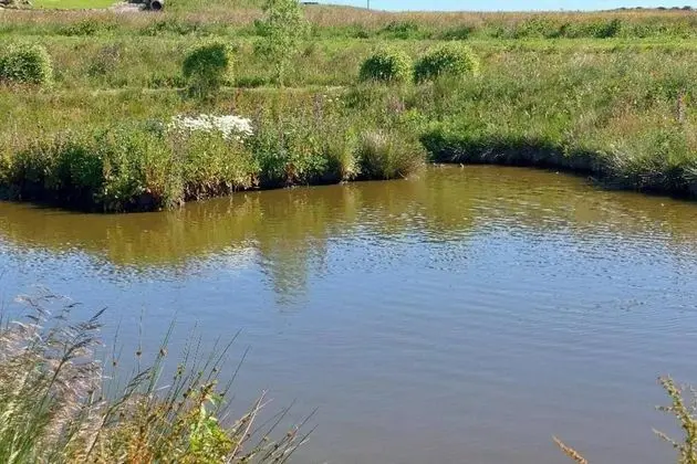 Kır Evi, Birden Çok Yatak