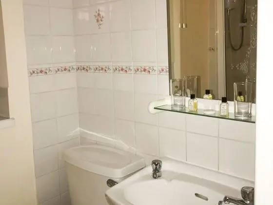 Standard Tek Büyük Yataklı Oda, Banyolu/Duşlu