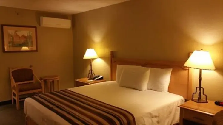 Standard Oda, 1 En Büyük (King) Boy Yatak, Engellilere Uygun, Sigara İçilmez