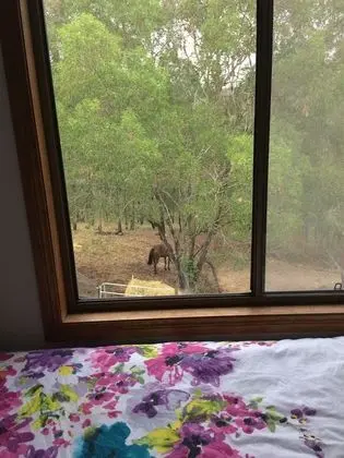 Oda, Ortak Banyo, Dağ Manzaralı