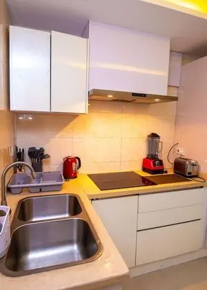 Presidential Çatı Katı Süiti (Penthouse)