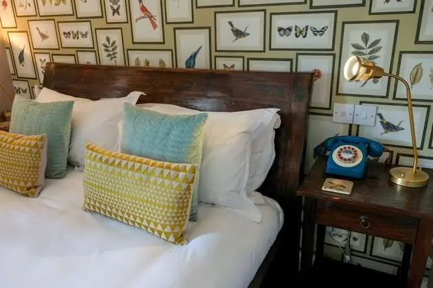 Comfort Tek Büyük Yataklı Oda, 1 En Büyük (King) Boy Yatak