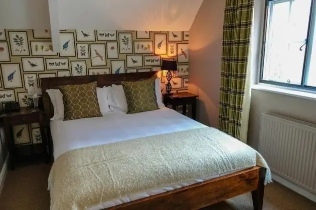 Comfort Tek Büyük Yataklı Oda, 1 En Büyük (King) Boy Yatak