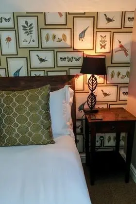 Comfort Tek Büyük Yataklı Oda, 1 En Büyük (King) Boy Yatak