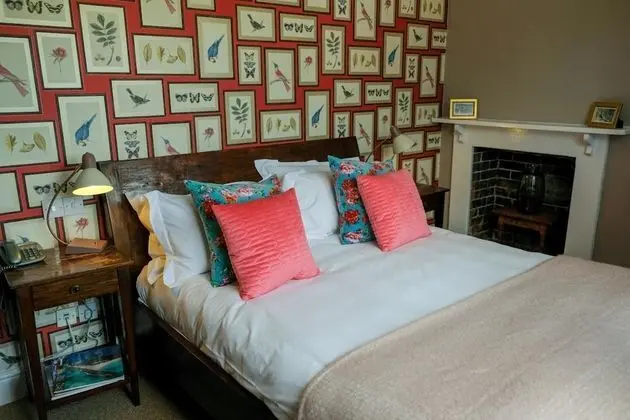 Comfort Tek Büyük Yataklı Oda, 1 En Büyük (King) Boy Yatak