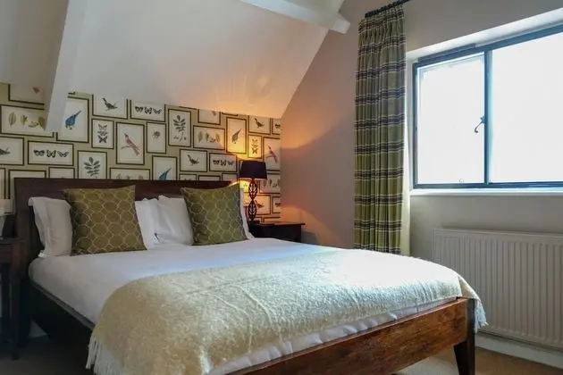 Comfort Tek Büyük Yataklı Oda, 1 En Büyük (King) Boy Yatak