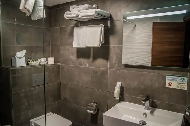 Standard Tek Büyük veya İki Ayrı Yataklı Oda, Balkon, Şehir Manzaralı