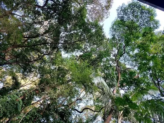 Premium Stüdyo Süit