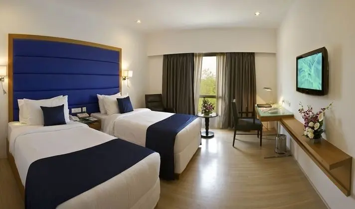 Premium İki Ayrı Yataklı Oda, 1 Yatak Odası, Sigara İçilebilir, Şehir Manzaralı