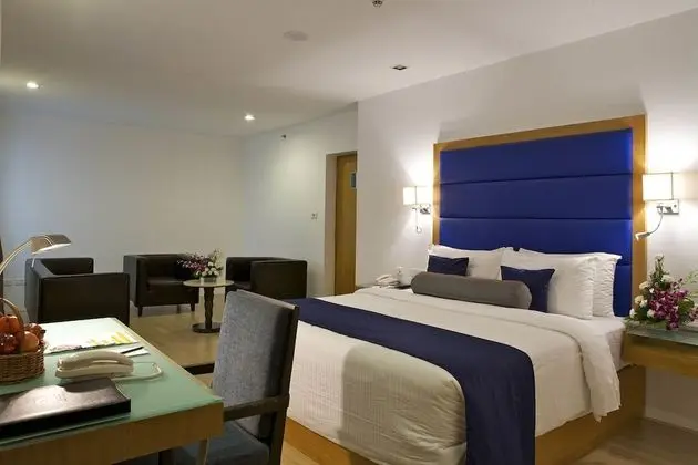 Superior Oda, 1 Yatak Odası, Sigara İçilmez, Şehir Manzaralı
