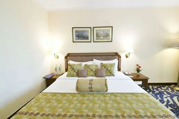 Luxury Süit, 1 Büyük (Queen) Boy Yatak, Şehir Manzaralı