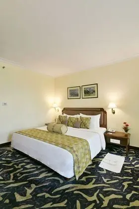 Luxury Süit, 1 Büyük (Queen) Boy Yatak, Şehir Manzaralı