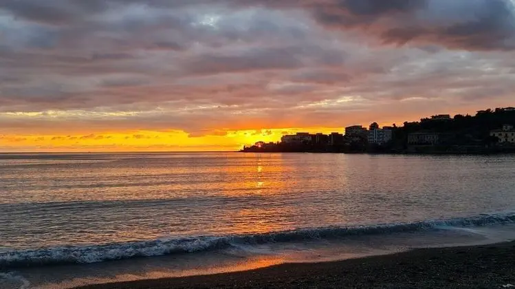 Apart Daire, 1 Yatak Odası, Balkon