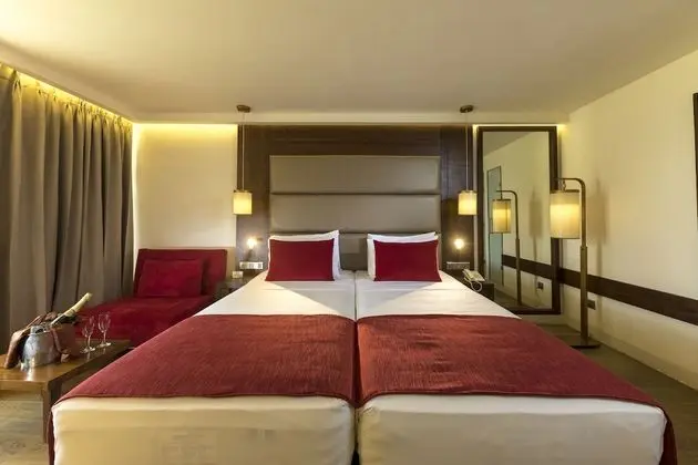 Deluxe Tek Büyük veya İki Ayrı Yataklı Oda, Balkon (20% off on Spa)