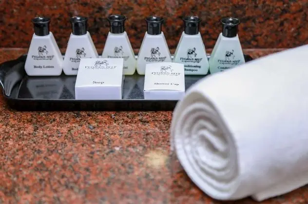 Deluxe Tek Büyük veya İki Ayrı Yataklı Oda, Havuz Manzaralı (20% off on Spa)