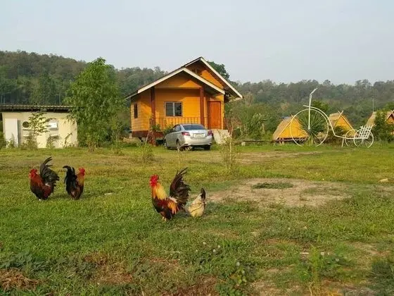 Family House