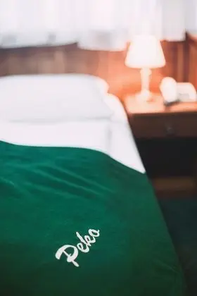 Deluxe Tek Büyük Yataklı Oda (With Extra Bed)