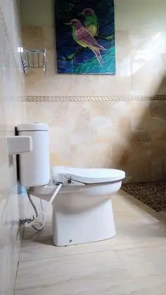 Superior Stüdyo Süit, 1 En Büyük (King) Boy Yatak
