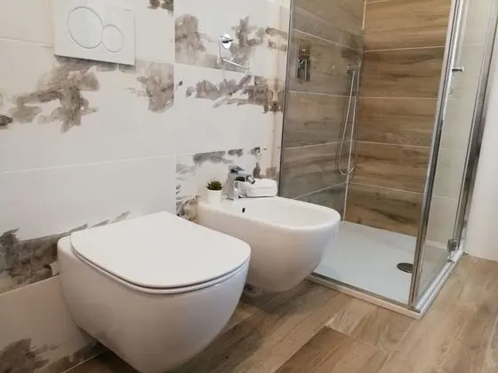 Deluxe Tek Büyük veya İki Ayrı Yataklı Oda